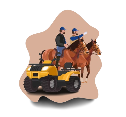 ACTIVIDADES EXTREMAS